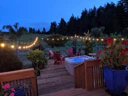 Sonoma County Historical Ranch House on a Vineyard - Image 3