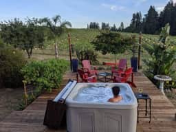 Sonoma County Historical Ranch House on a Vineyard - Image 4