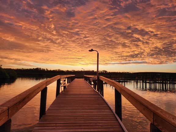 Launch, Boat, Fish & Swim! Clean Intracoastal Home - Image 3
